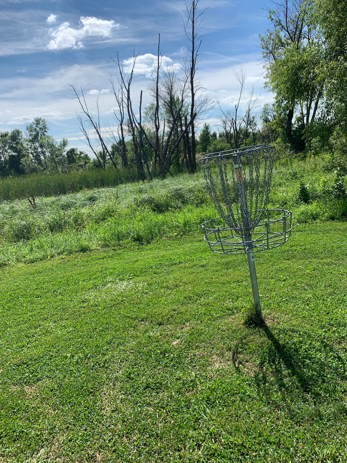 View of hole 4.