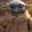 User avatar image
