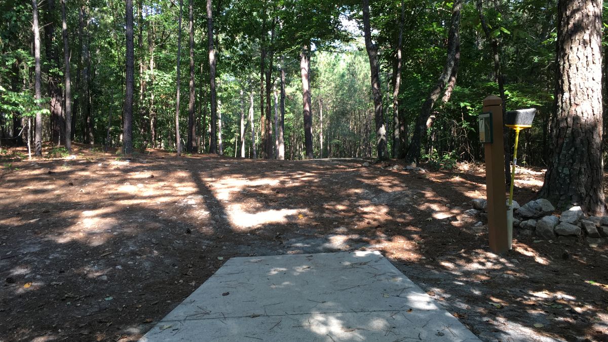 Hole 7