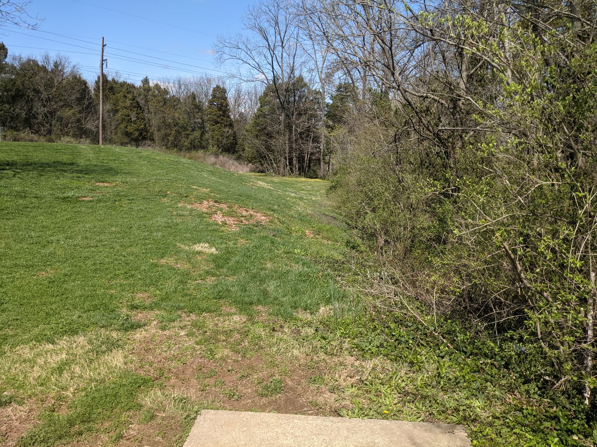 Hole 2 is a dogleg right that slopes down hill and right the entire length to the pin.  Right handed players will want a forehand or be able to turn a mid.  Trees and brush line the right side punishing players who try to cut the corner or overturn their disc and trouble is just long of the pin.