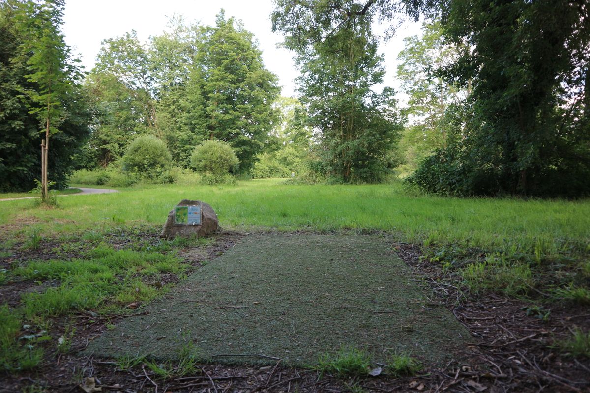 Tee from hole 5