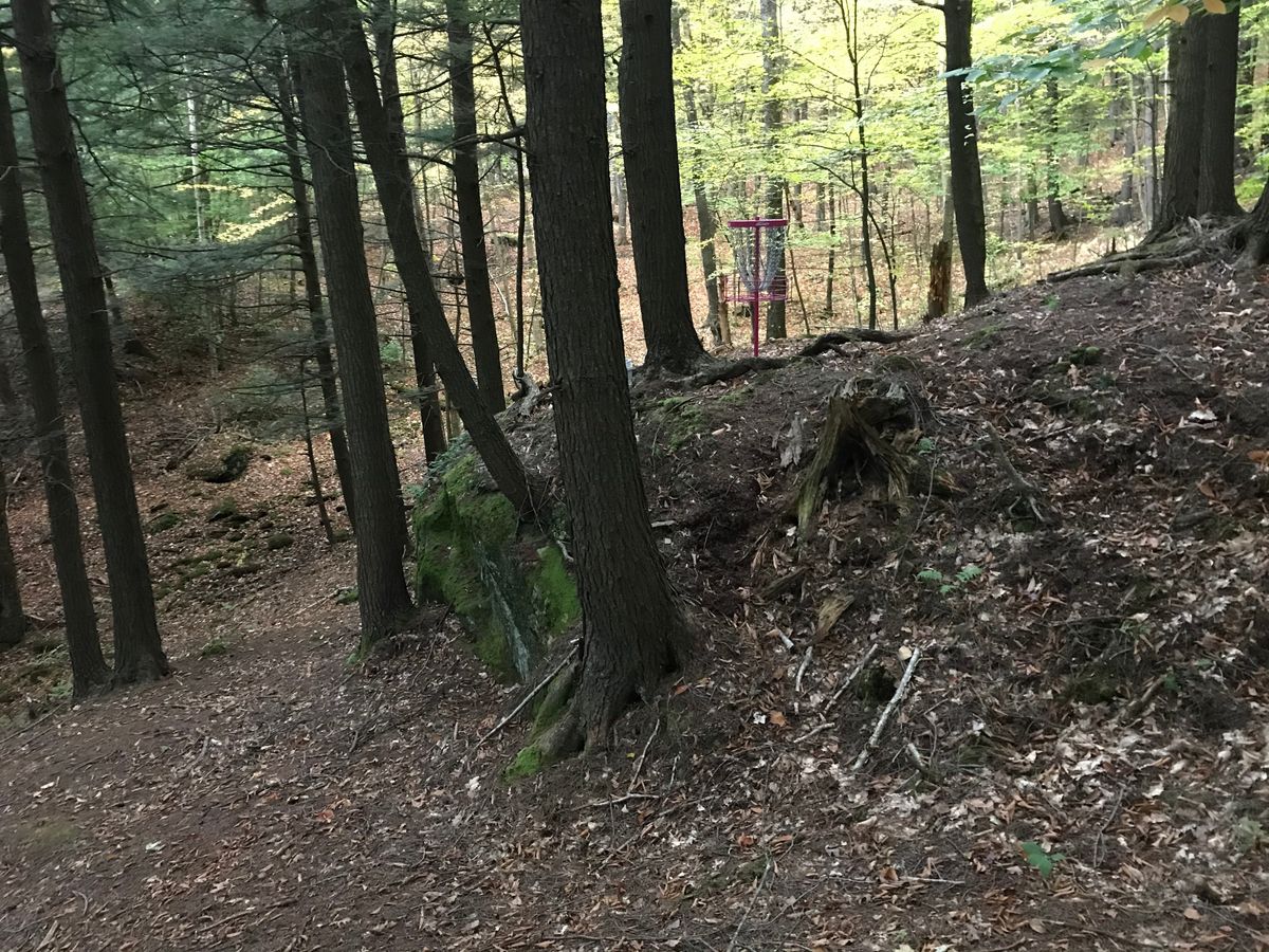 Hole 17’s green.