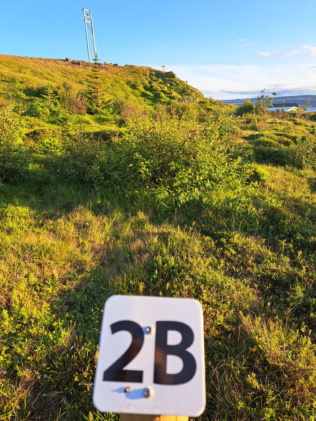 Hole 2b 
45m uphill