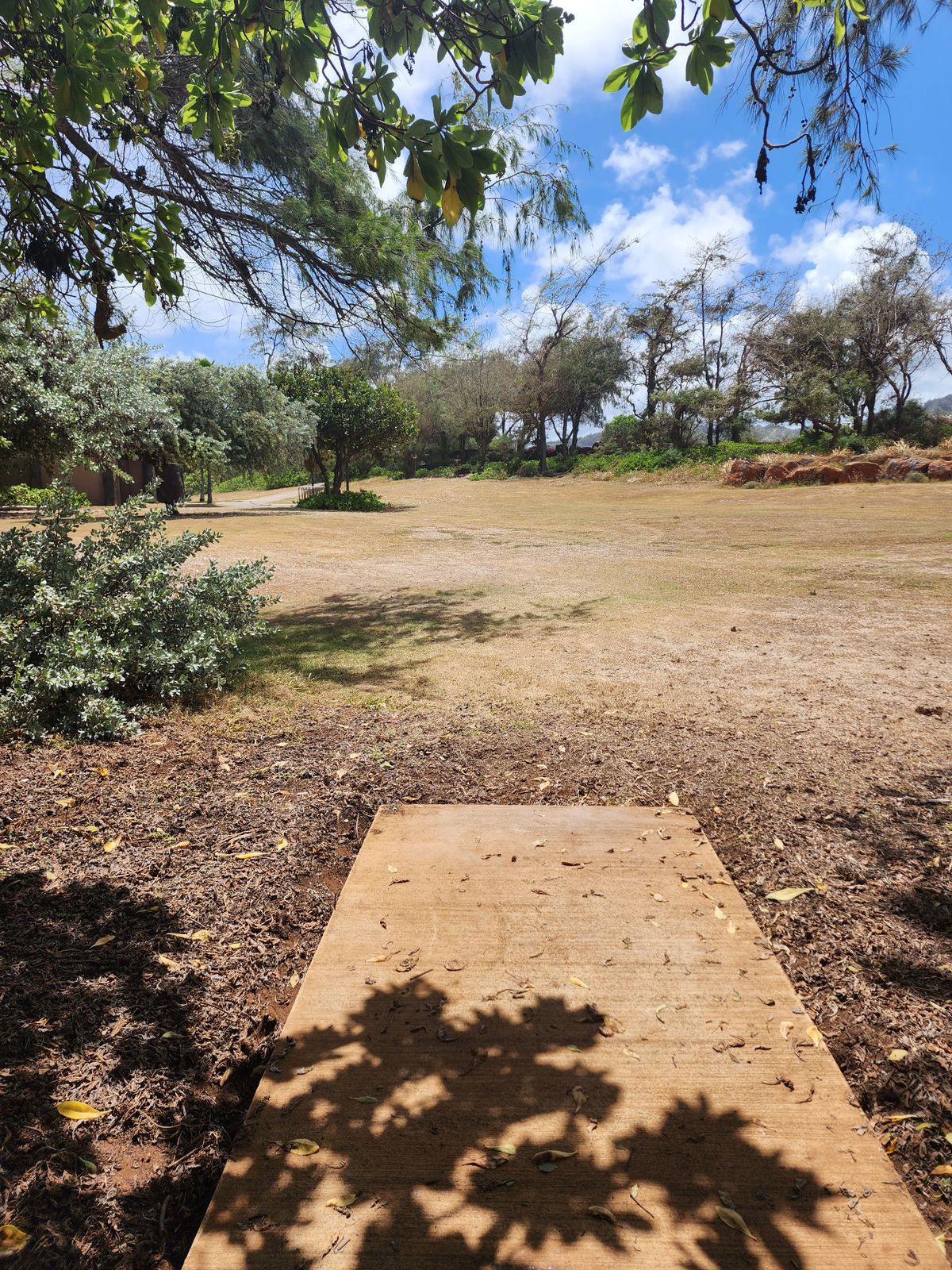 2nd tee