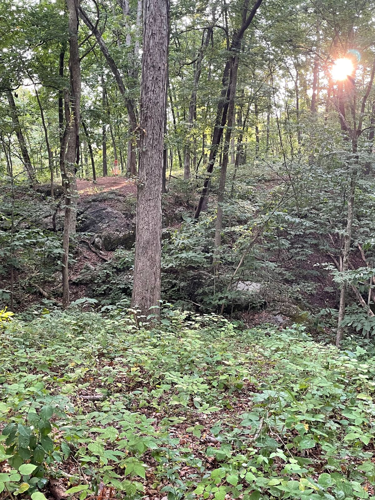 This is the turn on hole 6 that’s a par 3 with a back brakes!