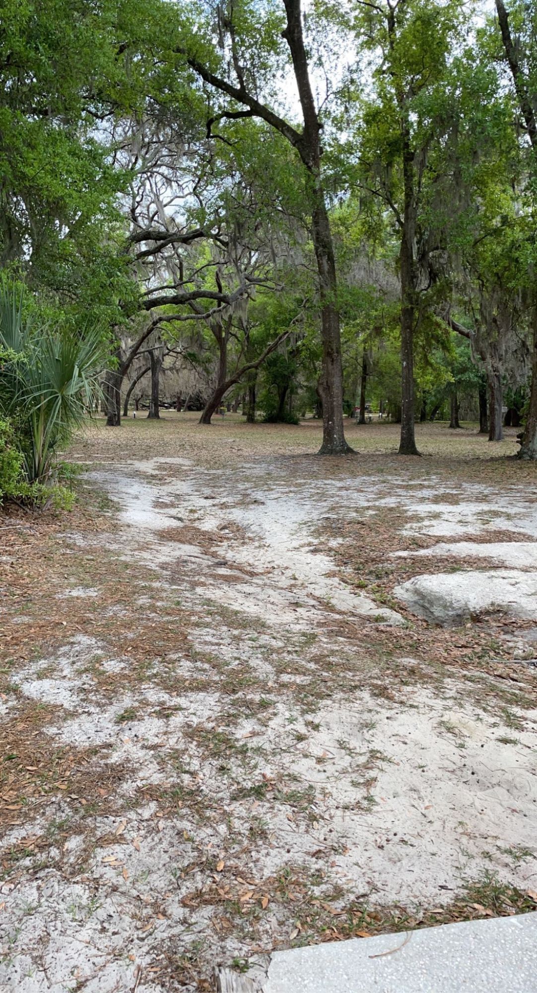 Hole 7 Short Tee