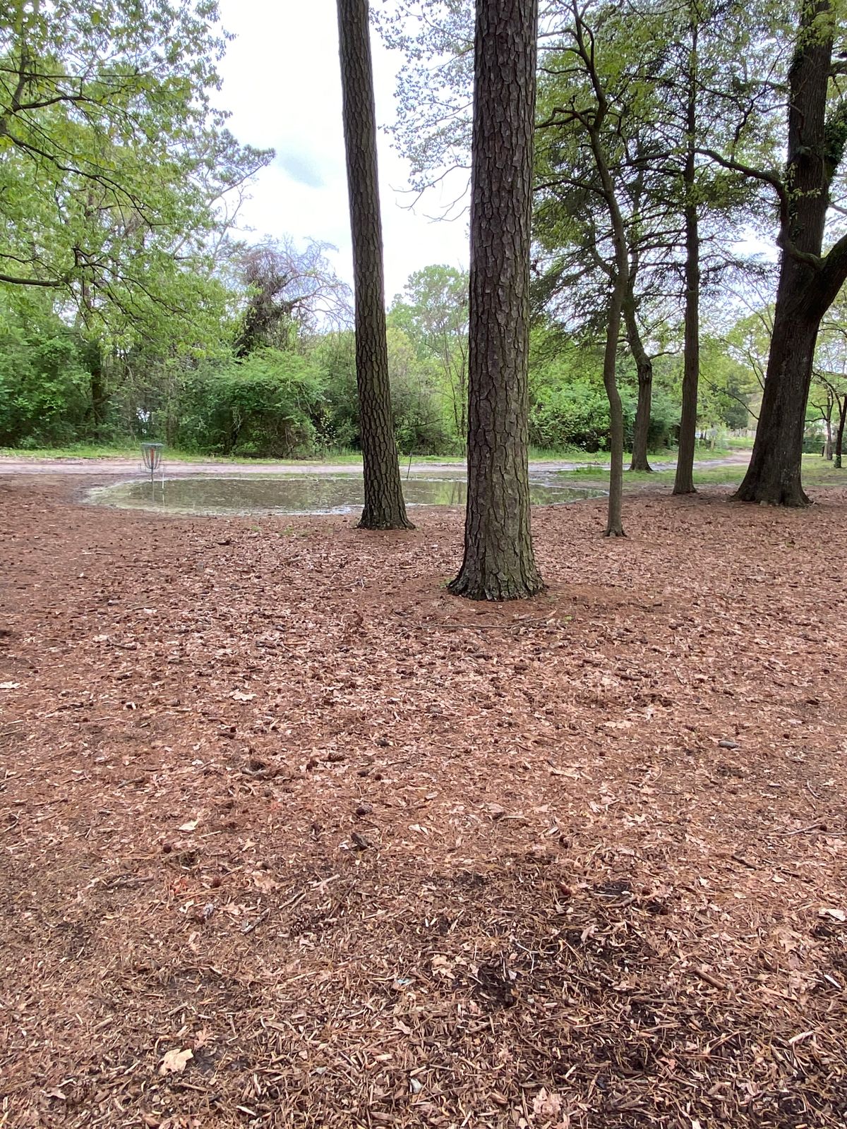 Hole 7 after a good rain. Adds some fun and difficulty.