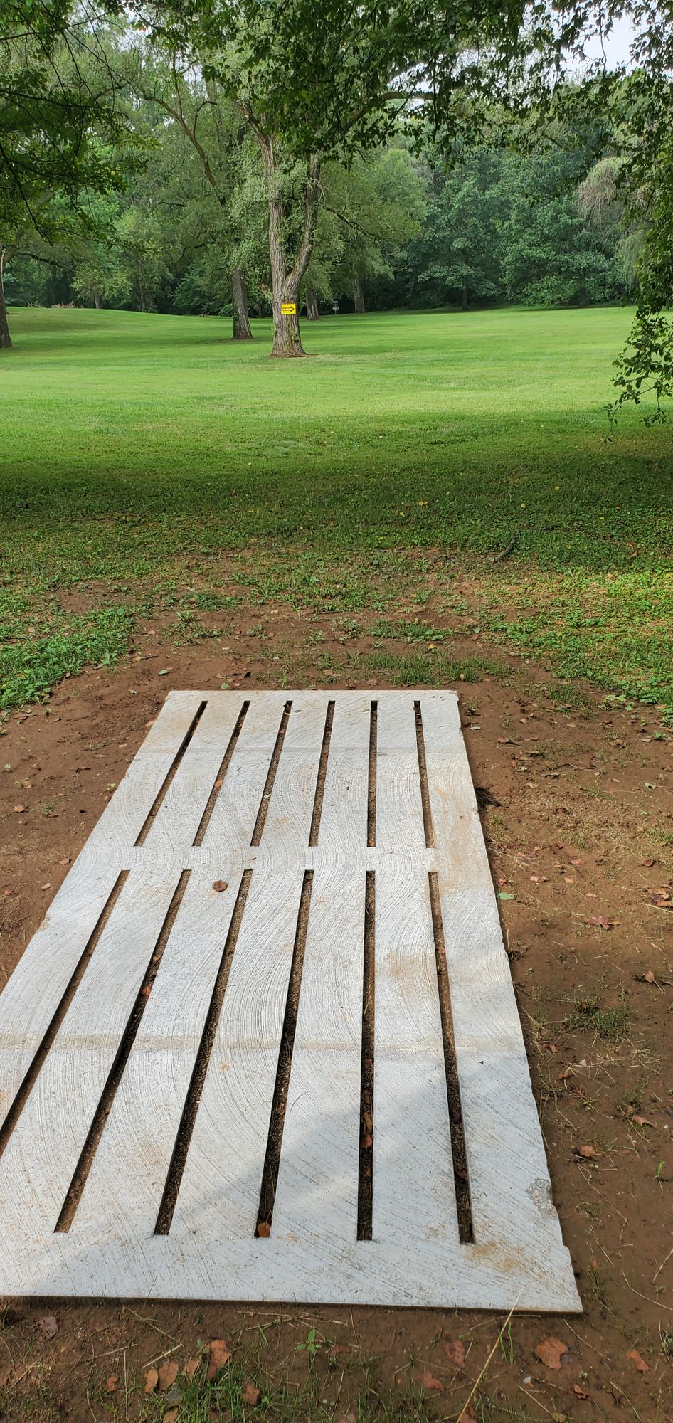 Hole 6 tee pad