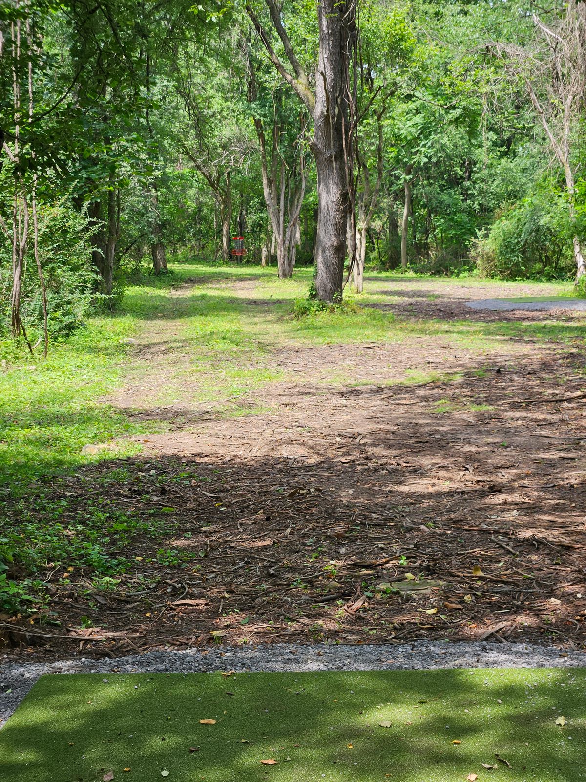 Hole 4 long tee