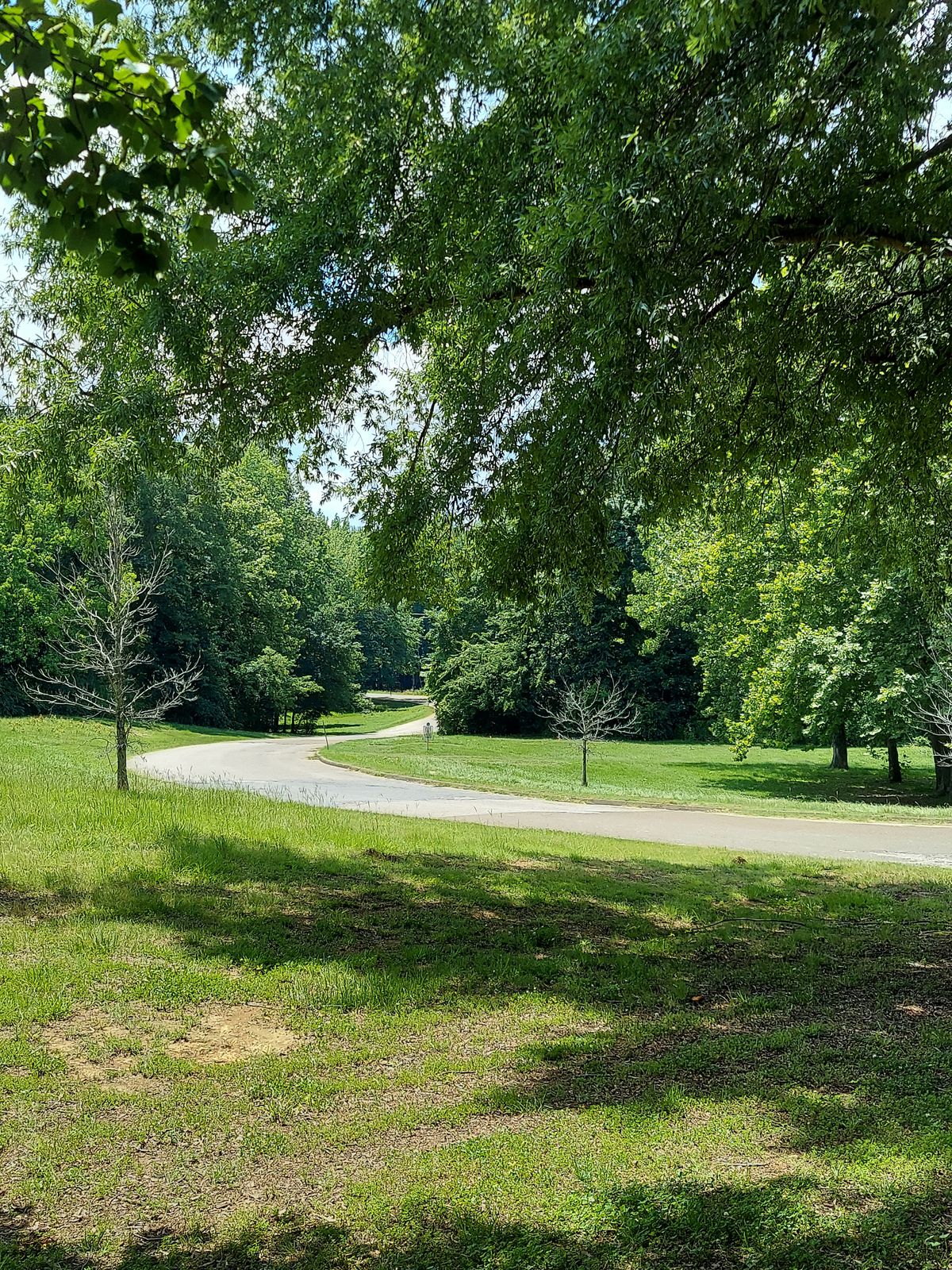 Hole 1 downhill.