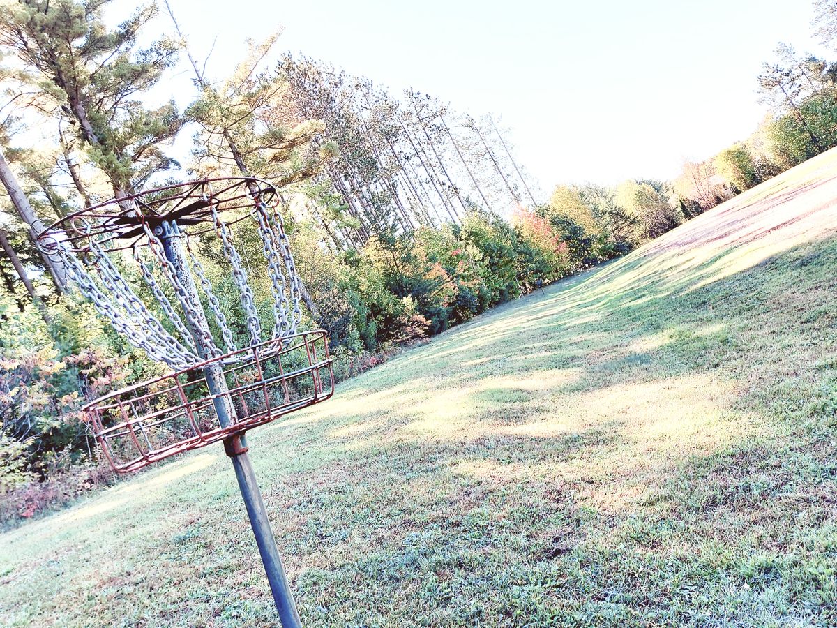 Reverse back up the fairway on hole 3. 🌳  🌲 🌳    🌲