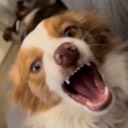 User avatar image