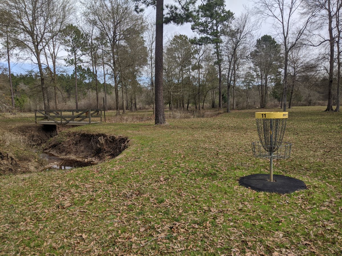 Hole 11 Basket