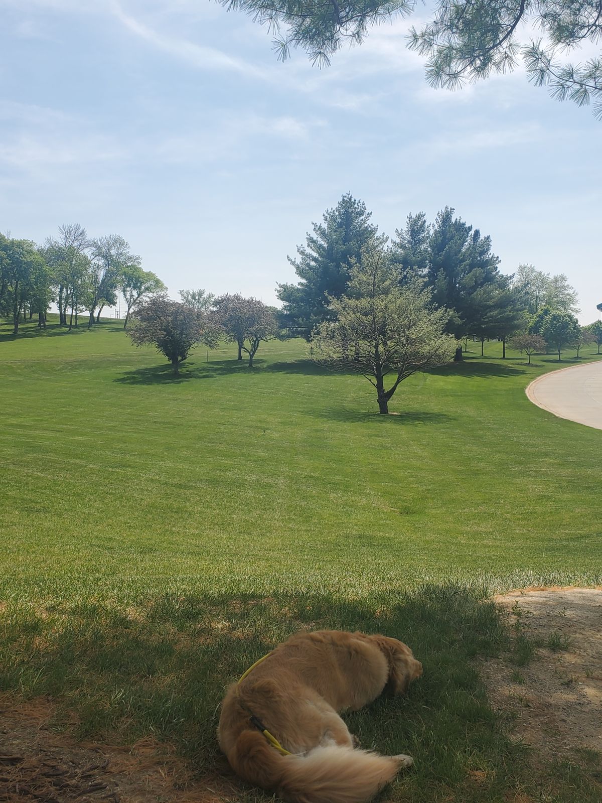 Hole 10