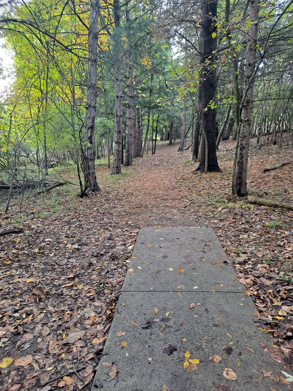 Hole 11