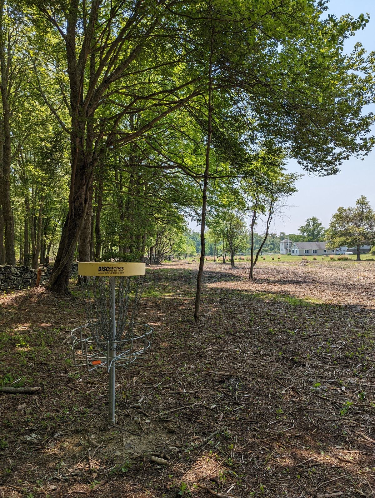 17 basket (shared with hole 3)