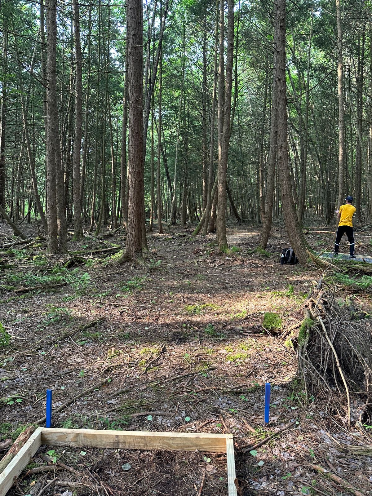 Hole 4 Blue Tee