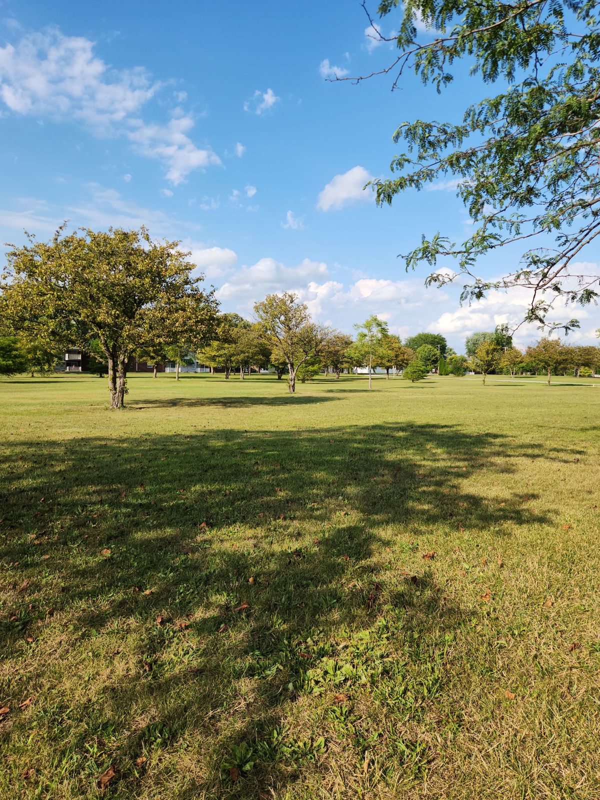 View of hole 12 from brown tee.