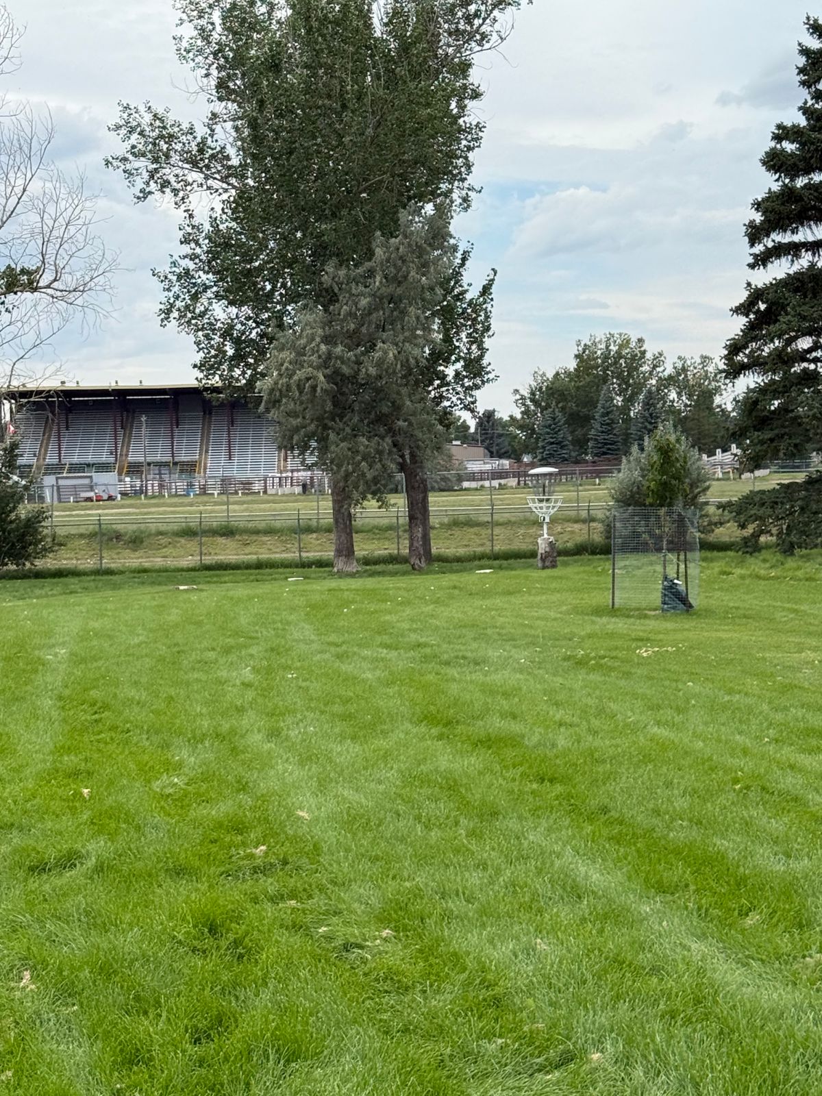 Hole 1 Basket in new elevated position.
