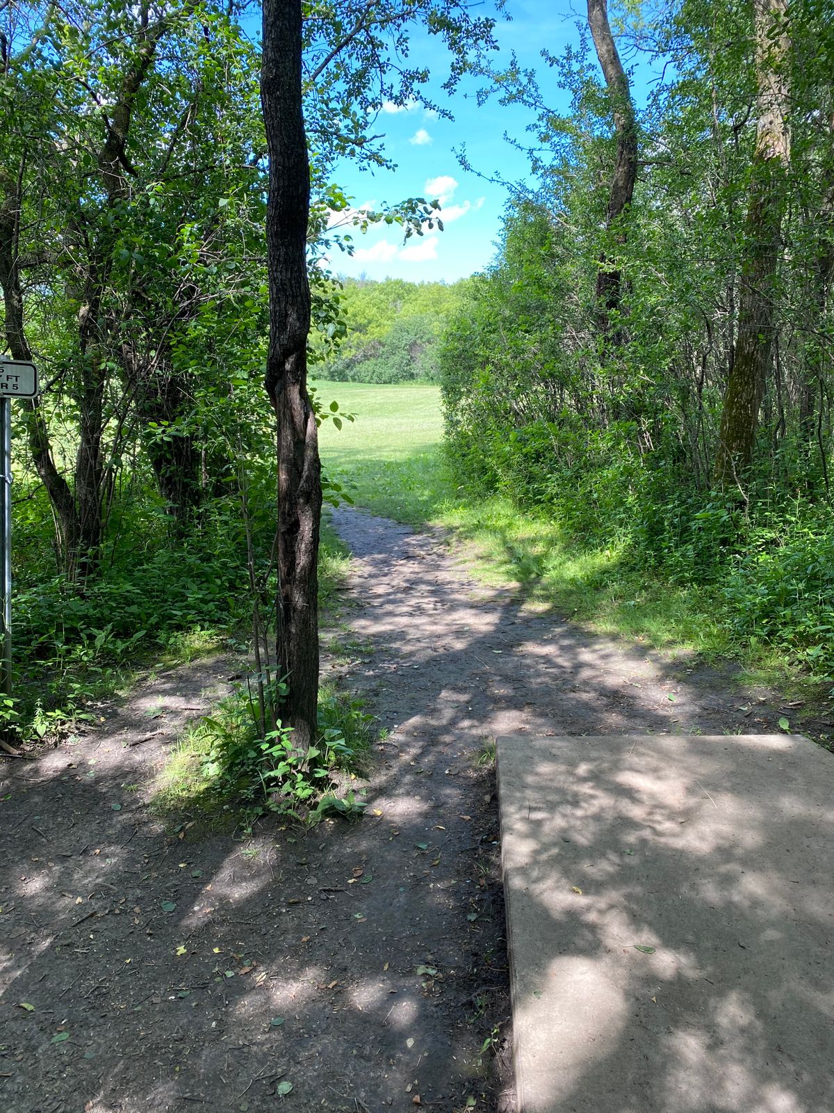Hole 5 Tee-Pad