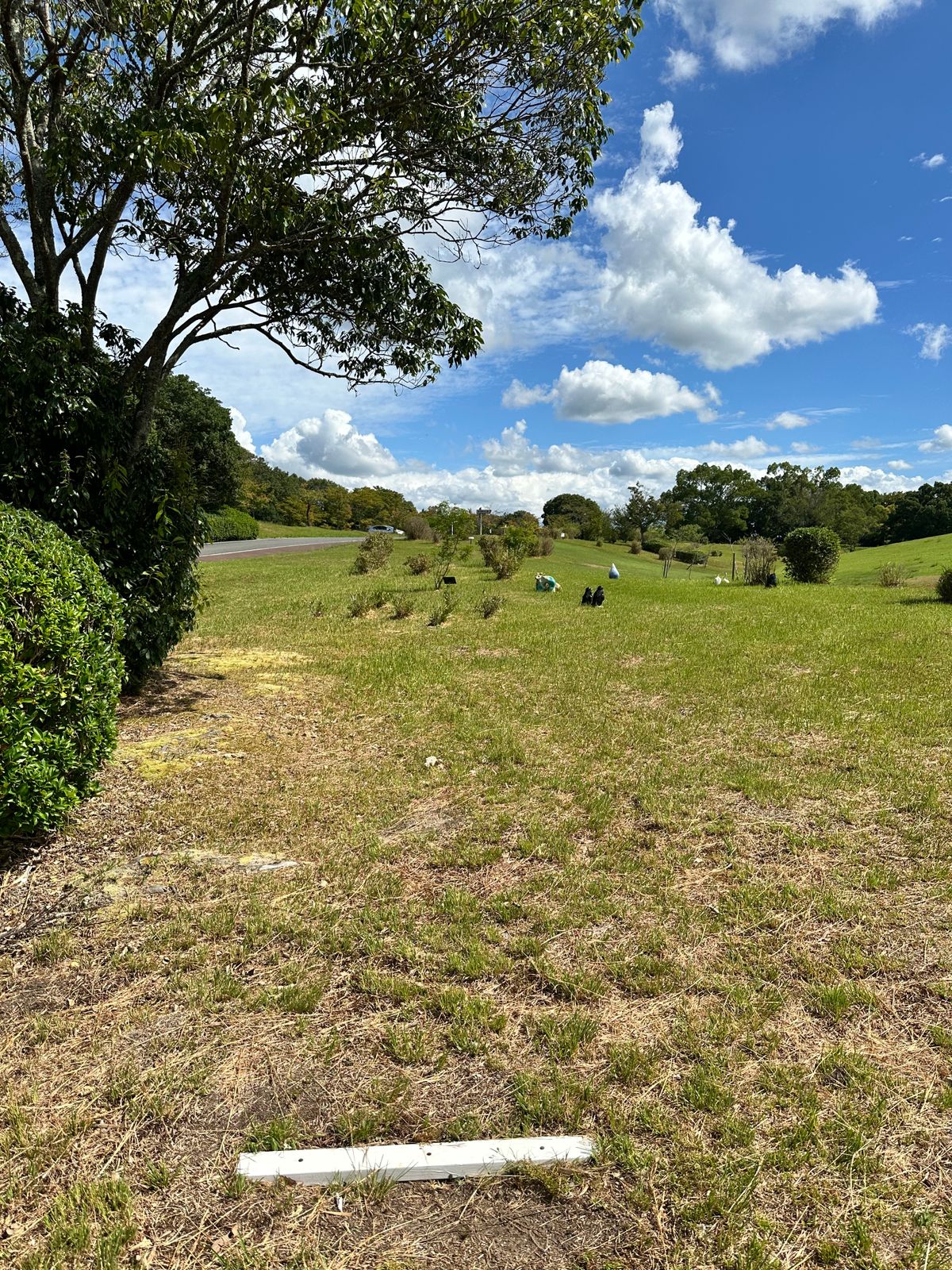 Hole 15