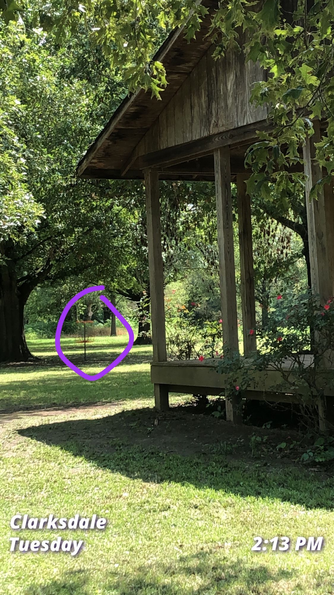 Hole 17 basket