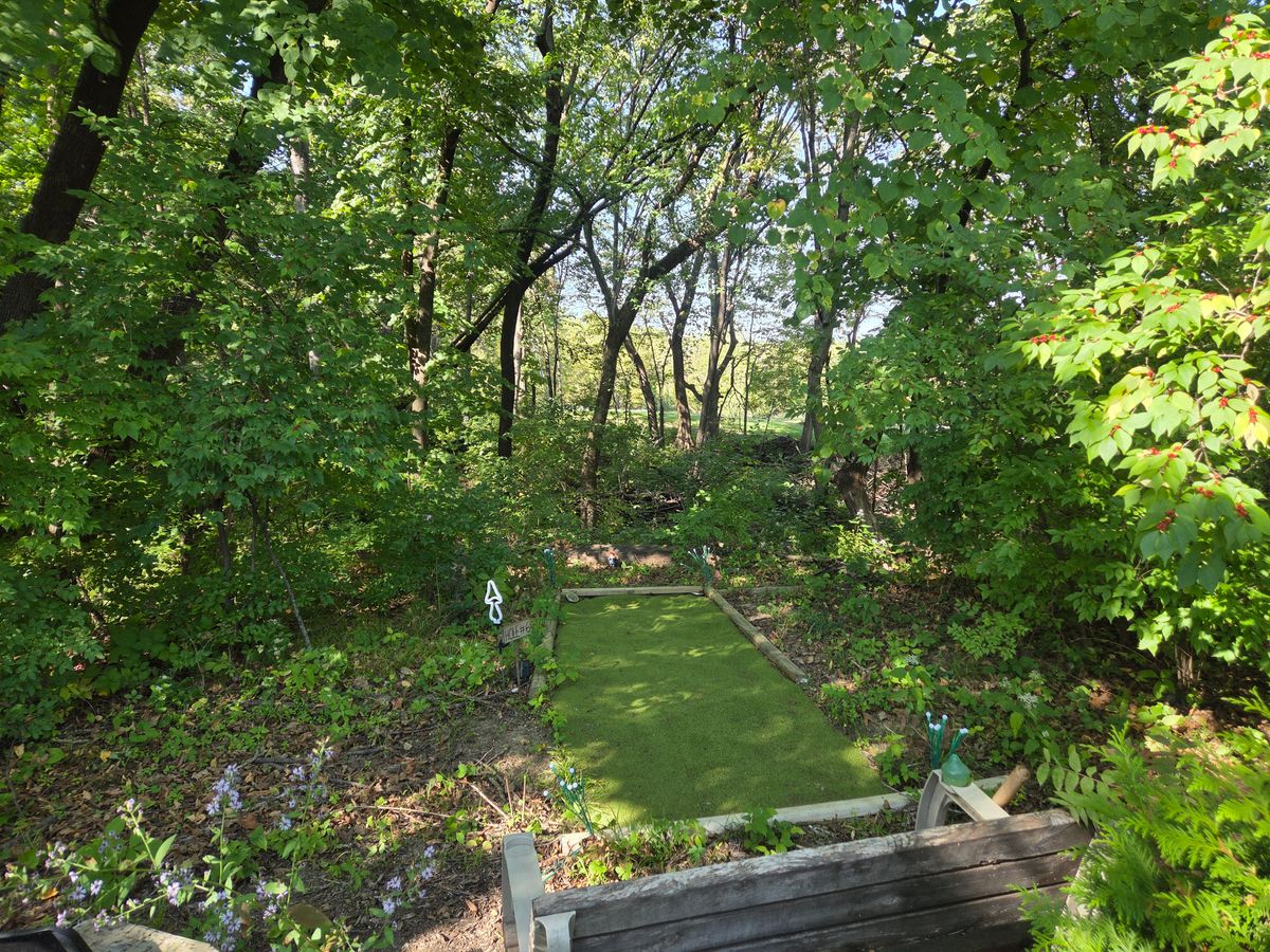 Hole 6 through the woods.
