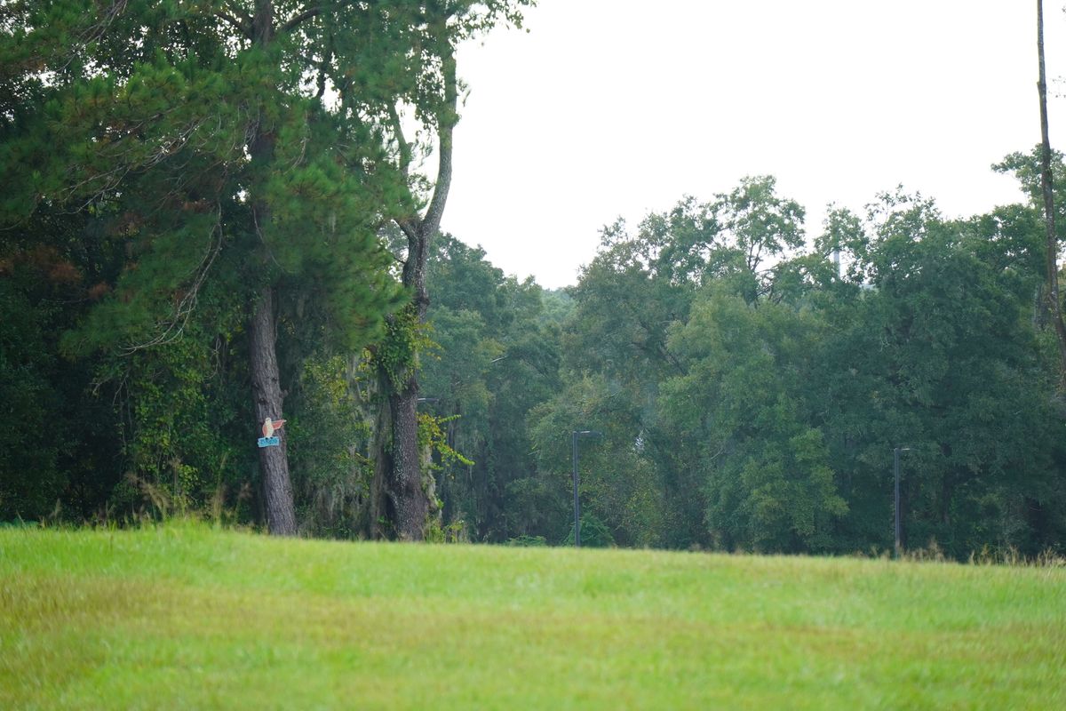 Hole 12’s mando ➡️