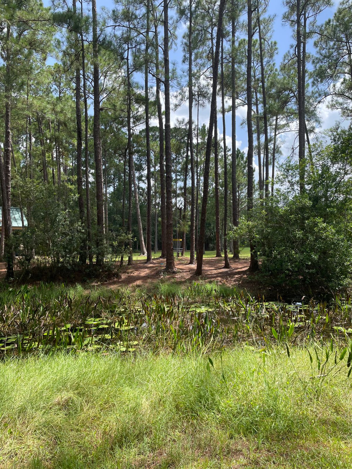 Hole 9
