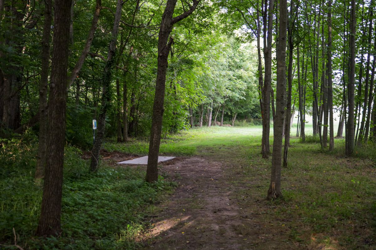 Hole 9 - from long tee