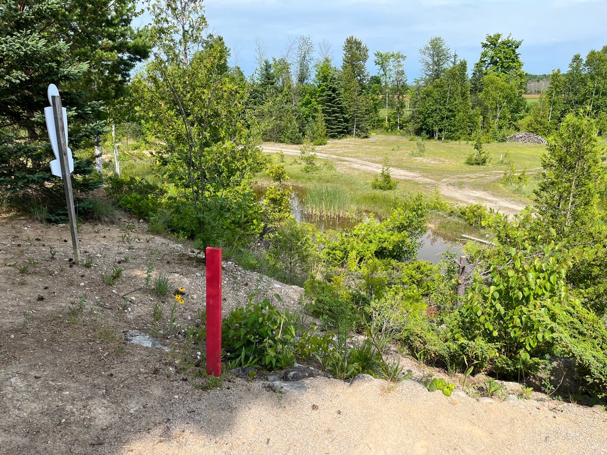 Look from shorts at elevated shot hole 6