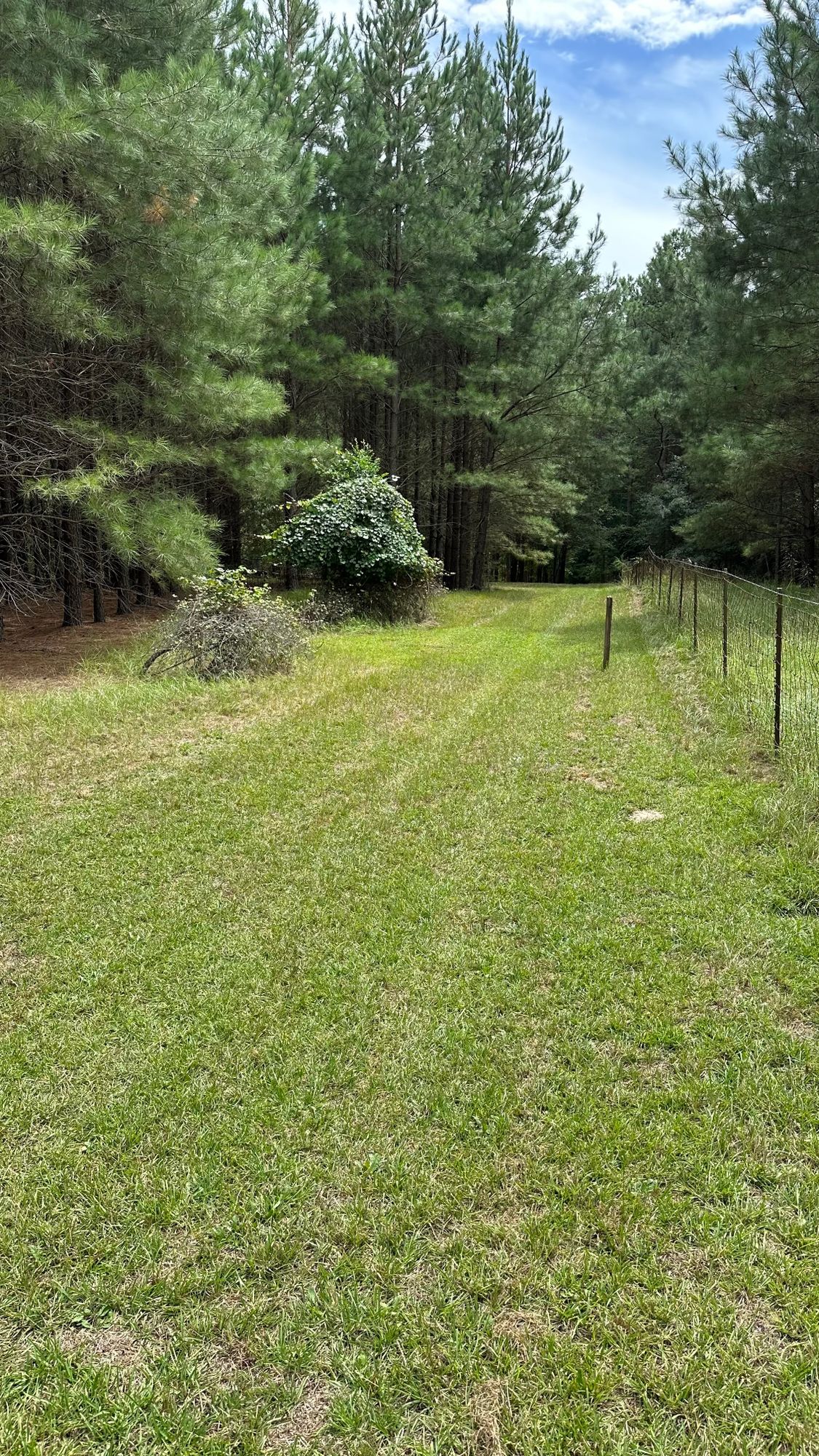 Hole 3