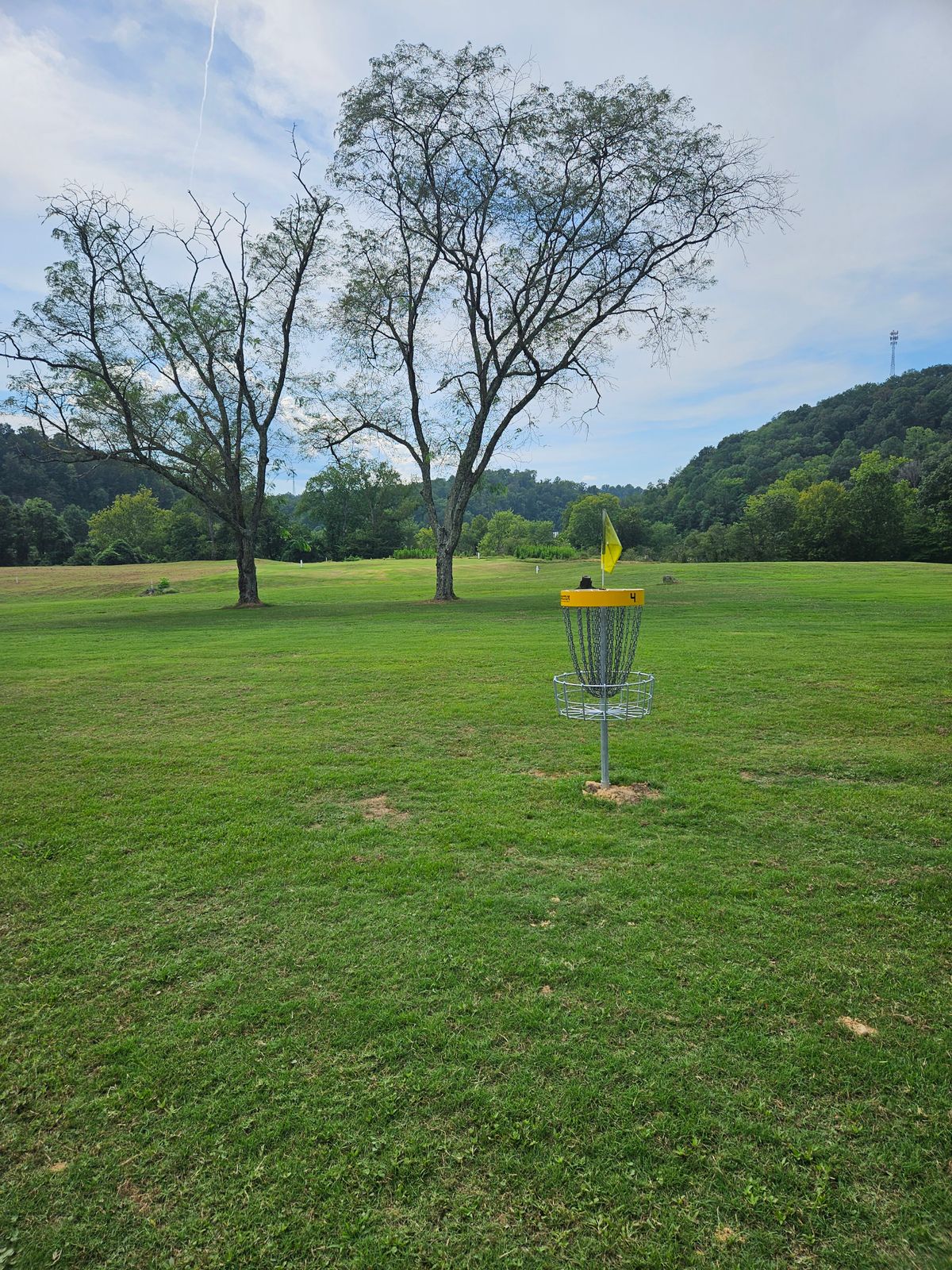 Hole 4 Short Basket. Looking towards Teepads.