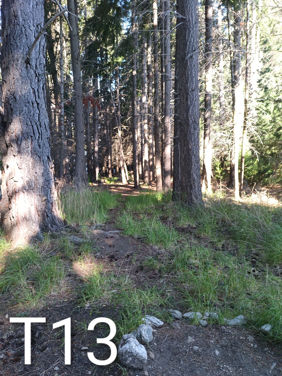 82m slightly down hill finishing to the right