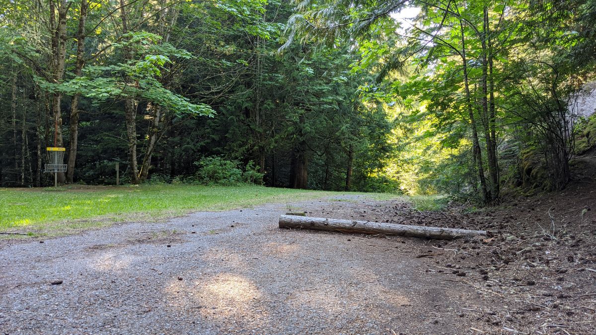 Hole 6 blind shot.