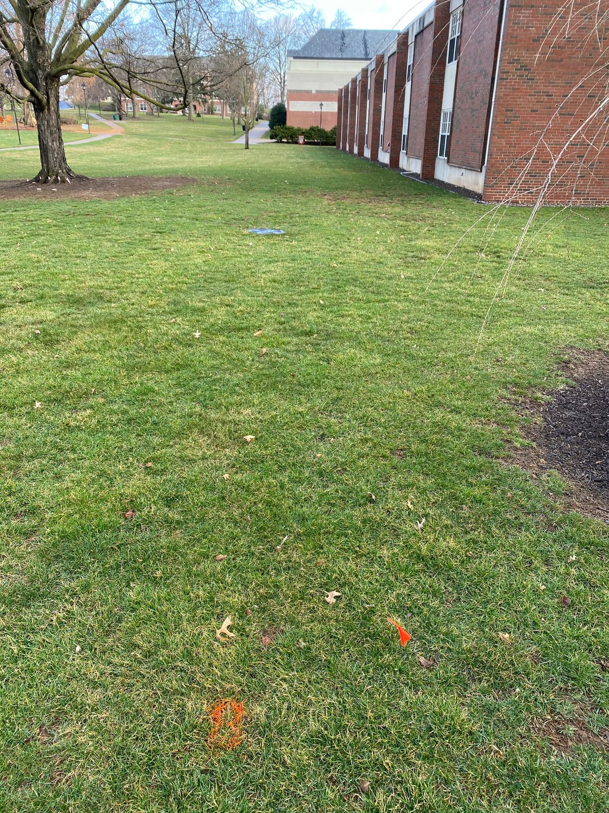 Hole 8, sidewalks are OB.