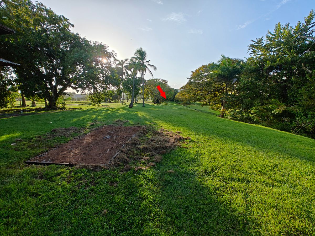 T-pad of hole 3