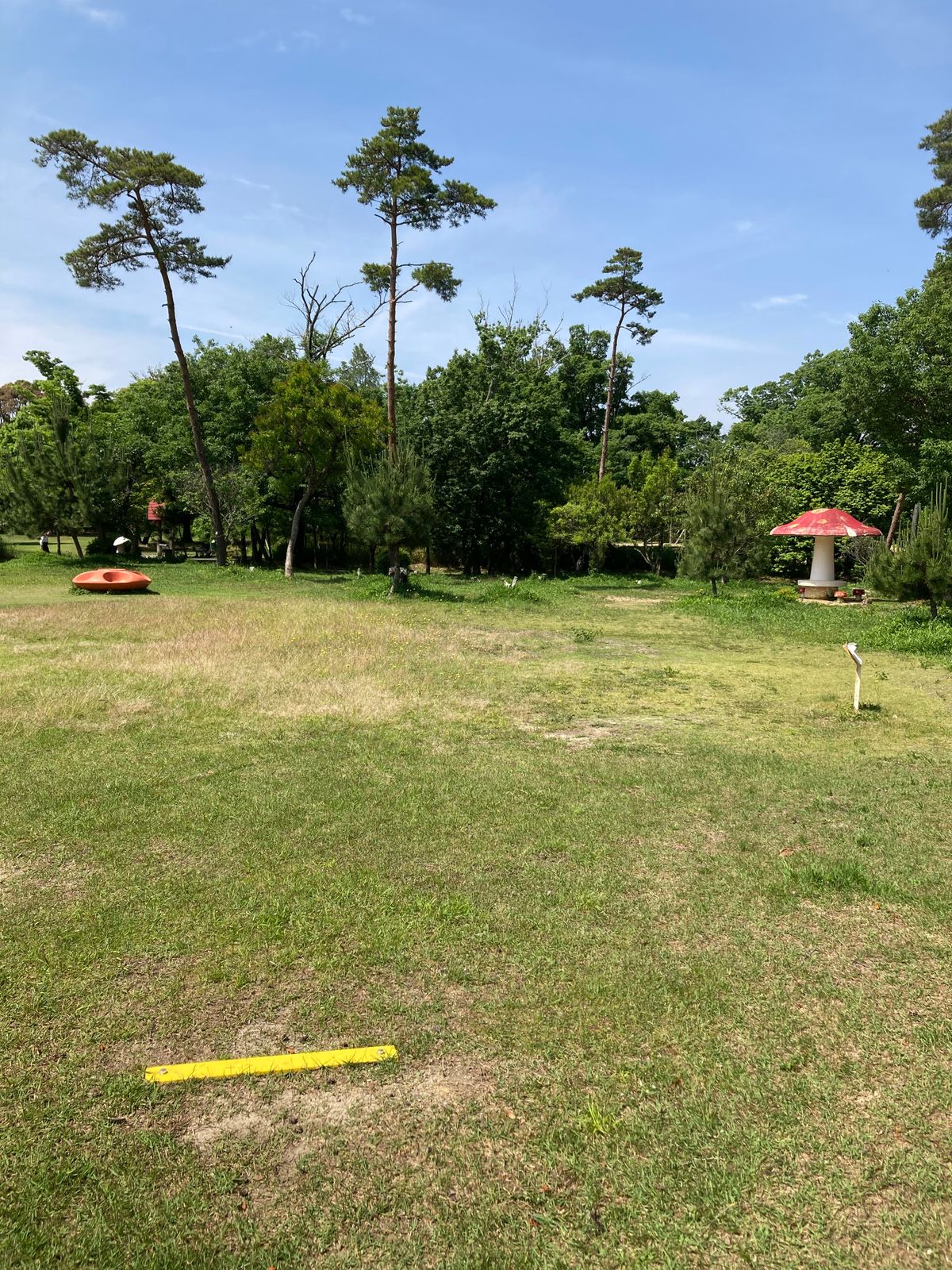 Hole 9 tee for 9 hole course. Don't overthrow onto the sidewalk!