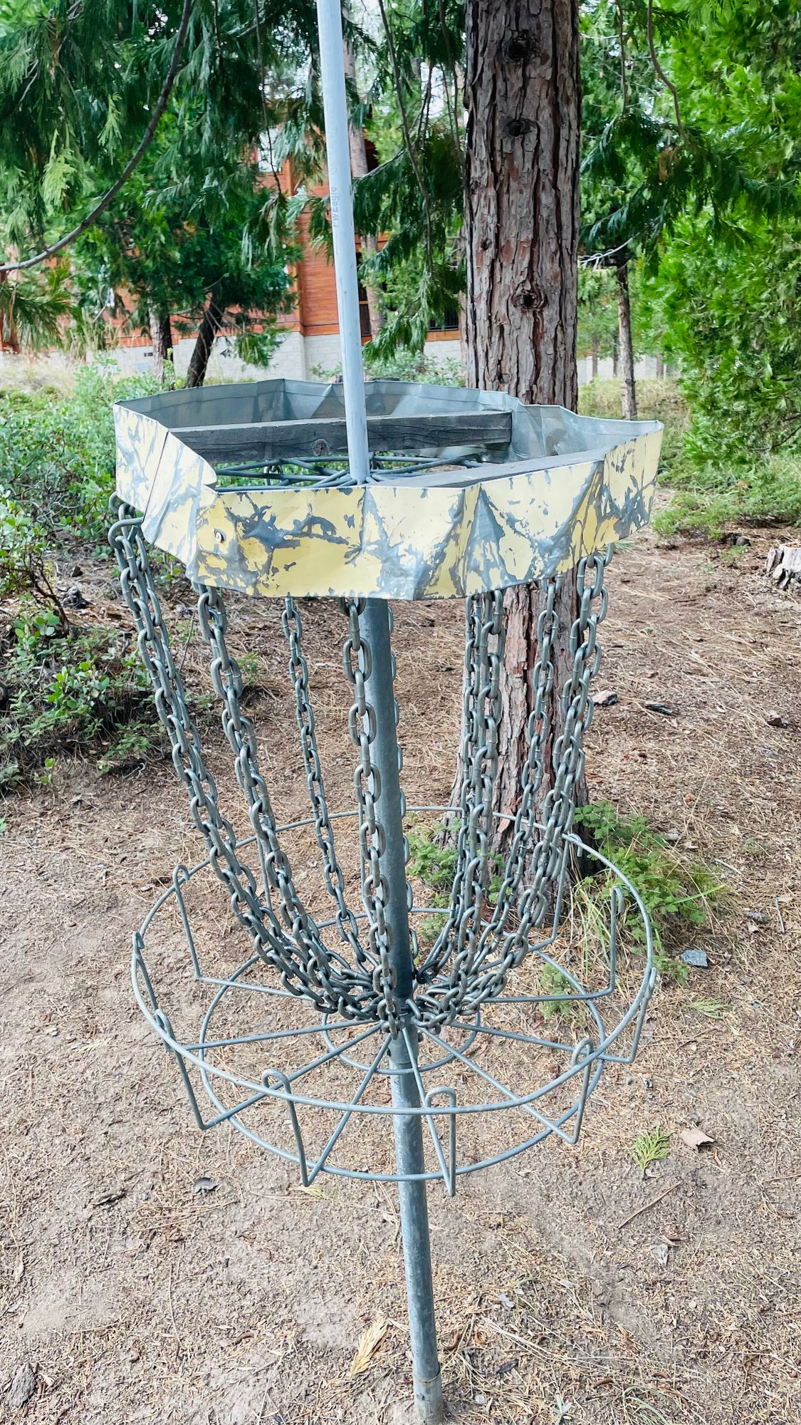 Baskets are in rough shape on the back 9.