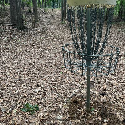 Hole 4 basket (looking up fairway to tee)