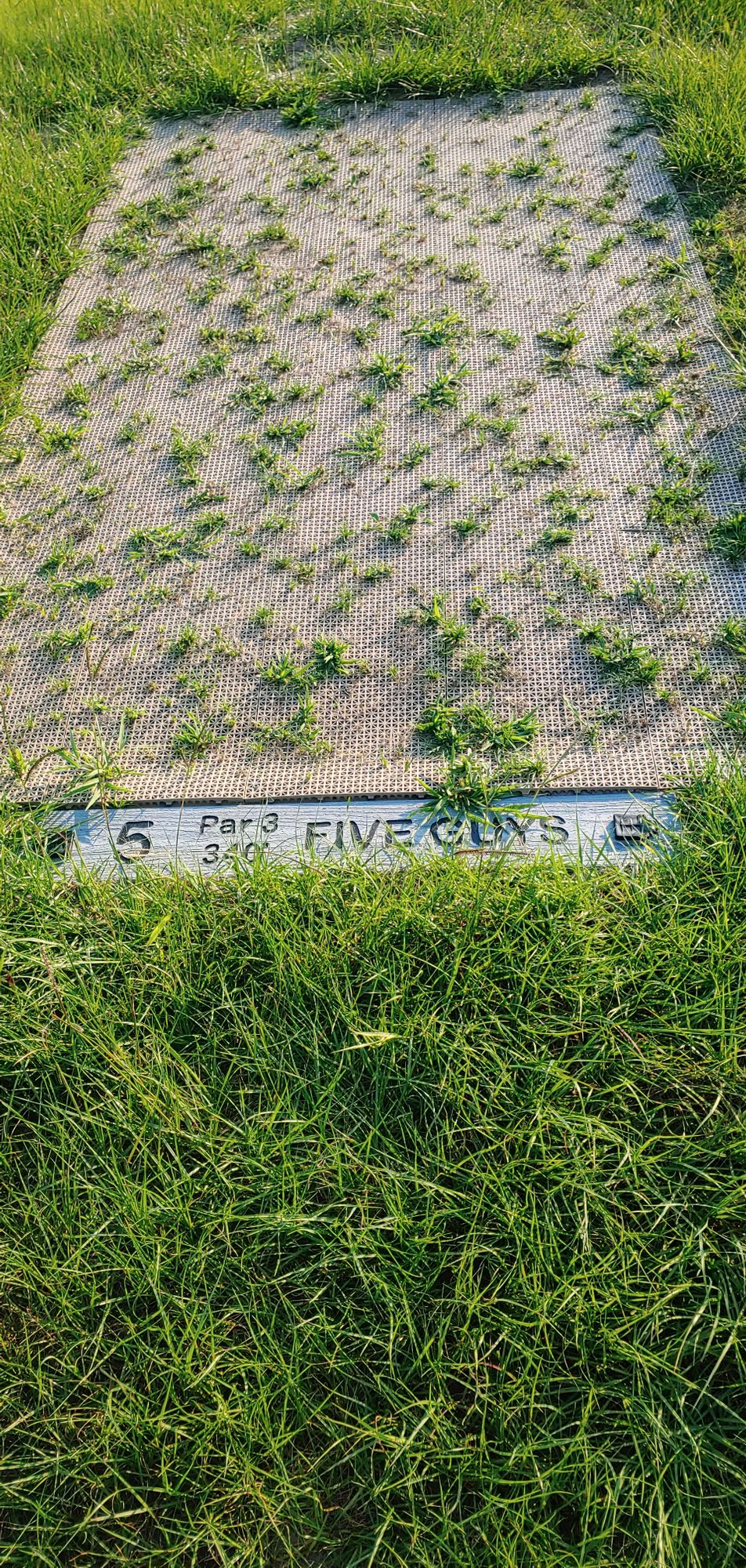 Tee 5