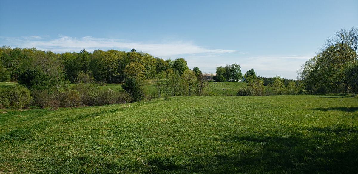 Hole 15