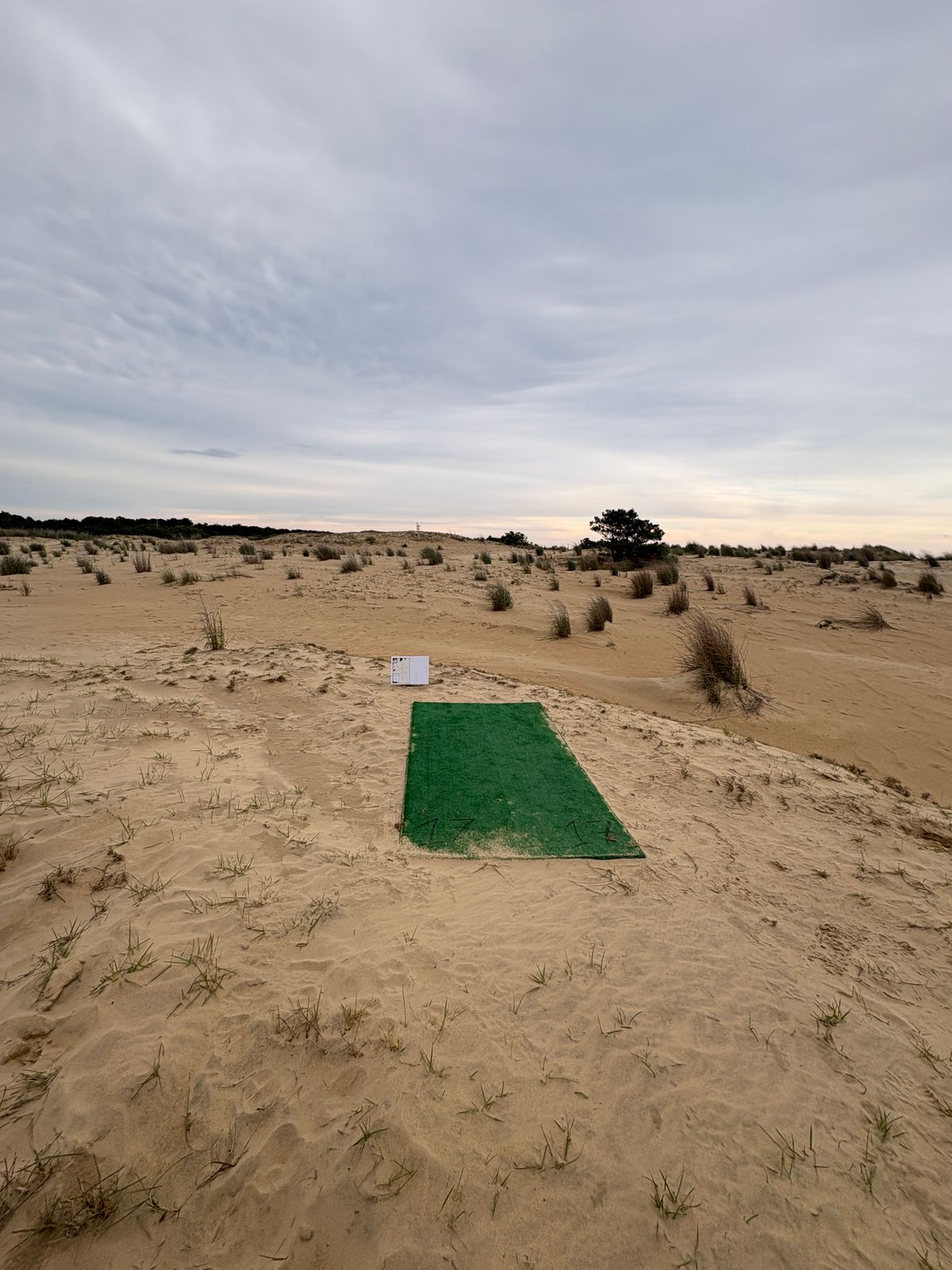 Hole 17 tee