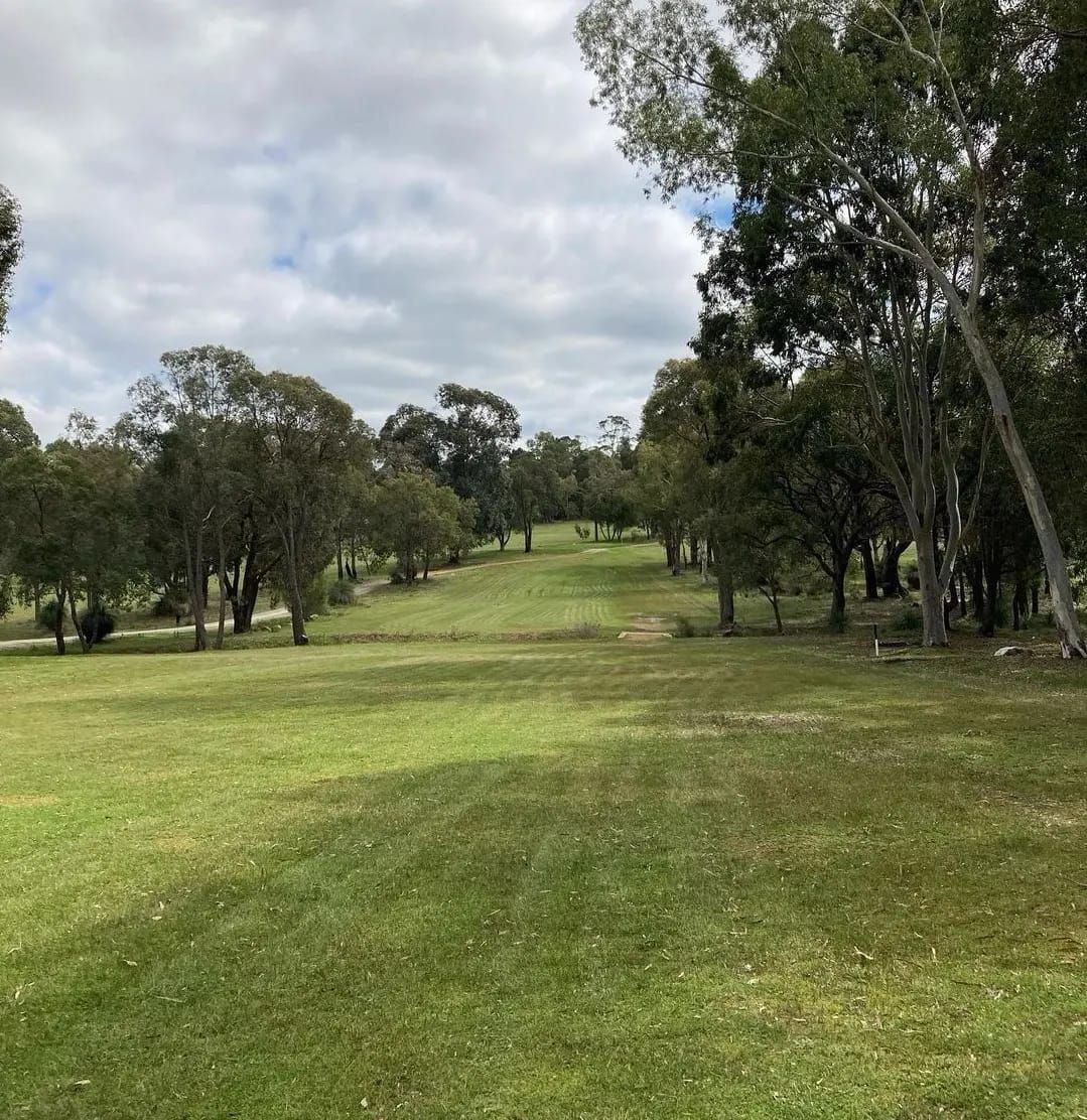 Hole 2 Fairway backwards
