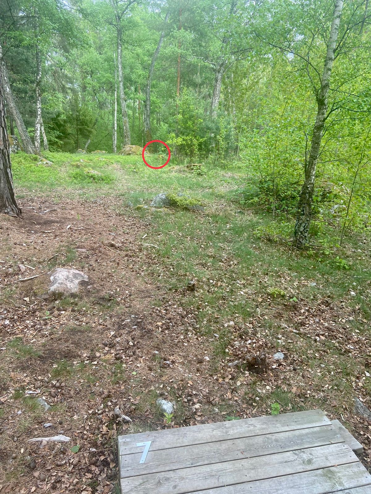 7. Nedför. Dogleg höger. Korg syns inte från utkast. Flaggan syns lite.