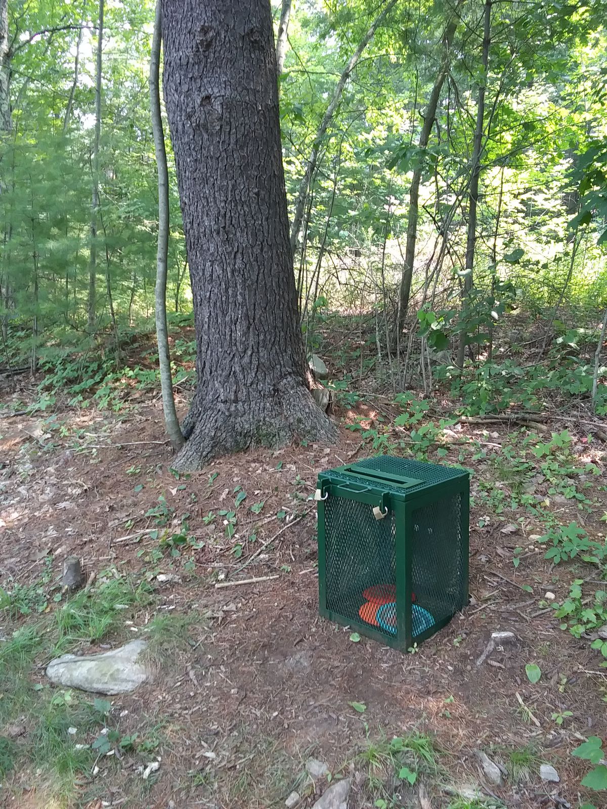 The lost disc box.