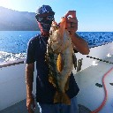 User avatar image