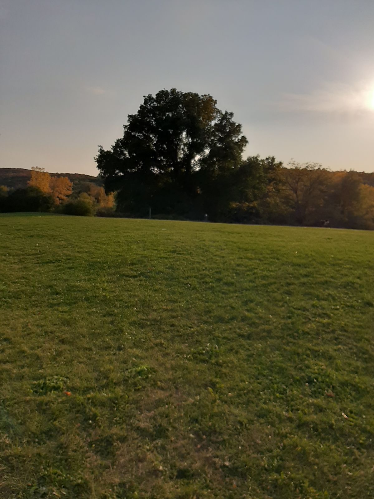 Hole 12 is a blind shot.