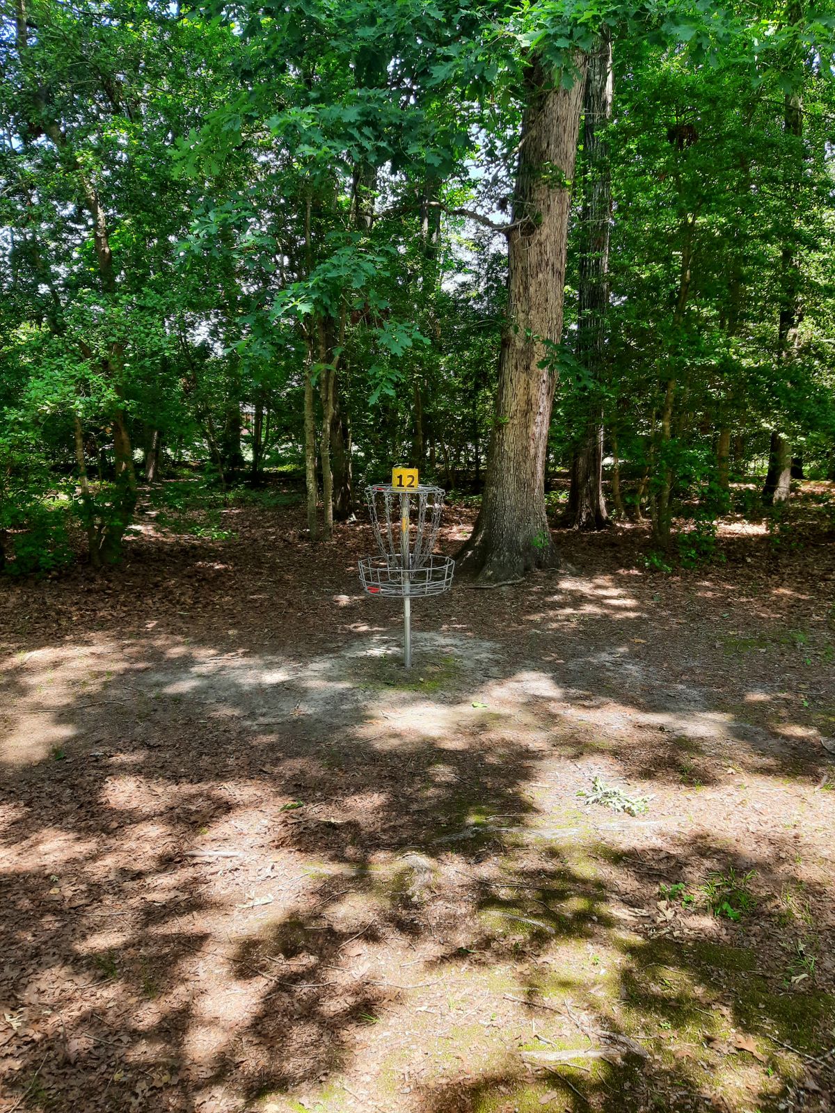 Hole 12 Basket