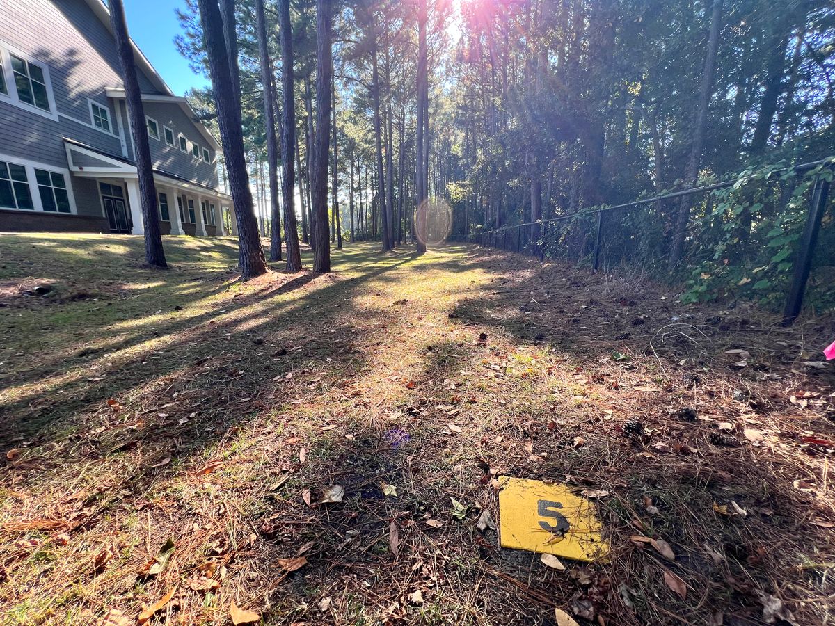Hole 5 tee